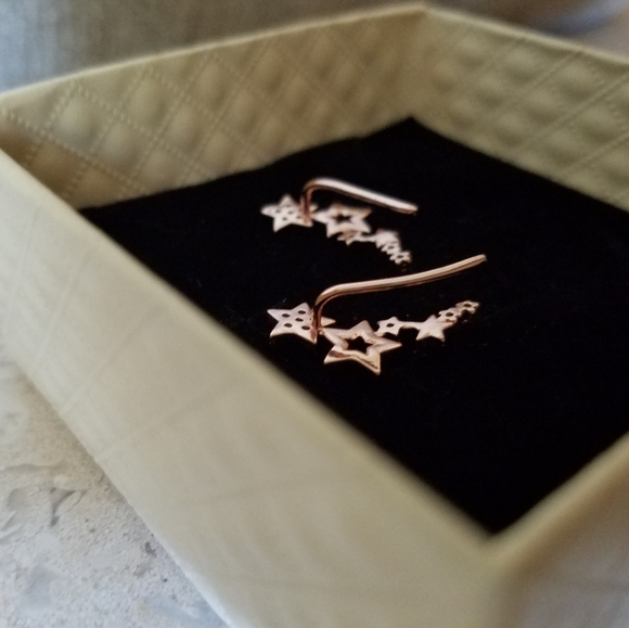 Rose Gold Micro Pave Star Crawler Earrings - Picture 4 of 7